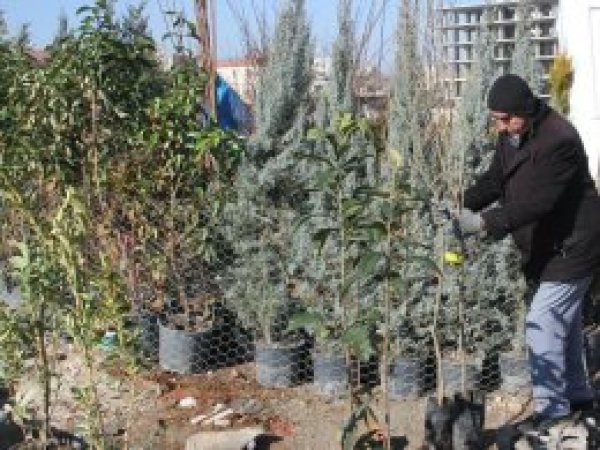 'Kıyametin kopacağını bilseniz elinizdeki fidanı dikiniz'