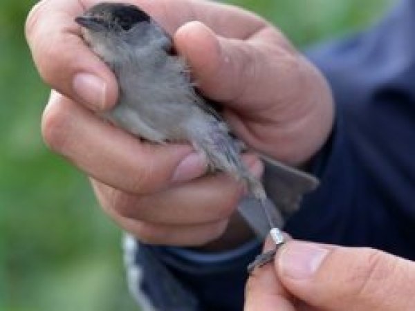 2 bin kilometrelik yoldan geldi