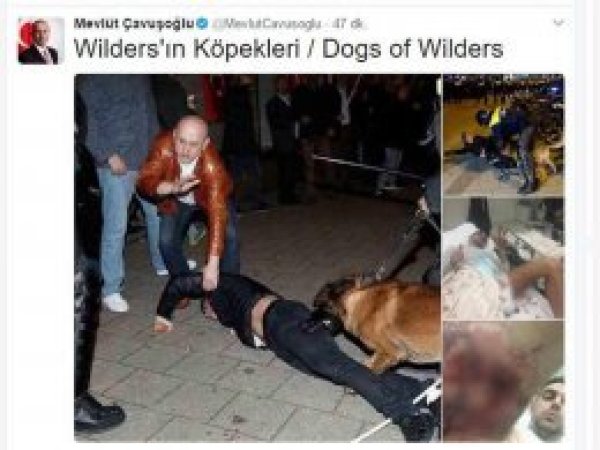Çavuşoğlu'ndan 'Köpekli' gönderme