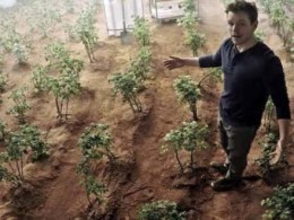 Mars patateslerine az kaldı
