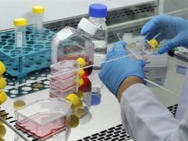 Yan etkisi olmayan ağrı kesici geliştirildi