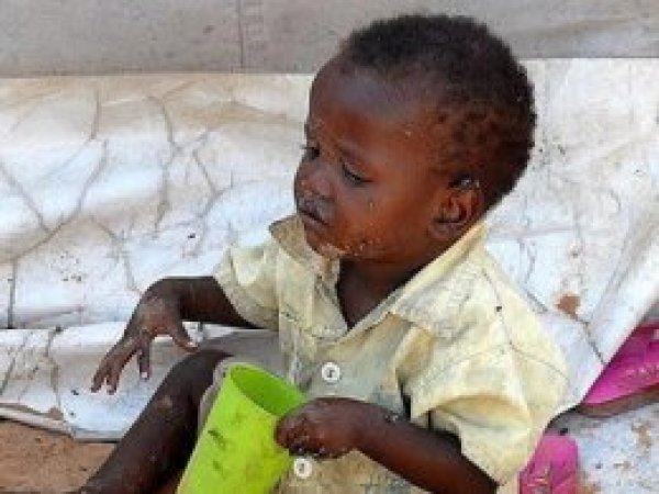 Zimbabve'ye 253 milyon dolarlık gıda programı