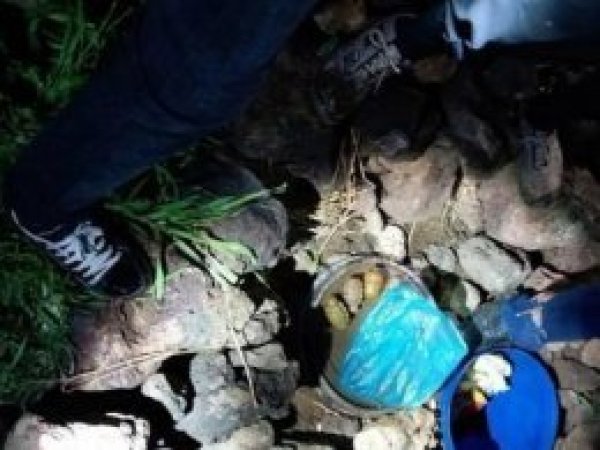 Mardin'de 6 PKK'li öldürüldü 