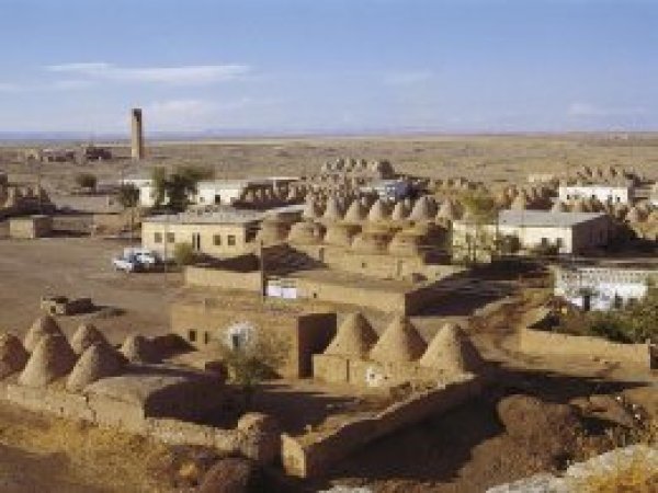 'Evet'in en fazla çıktığı Harran’ın seçim panoraması