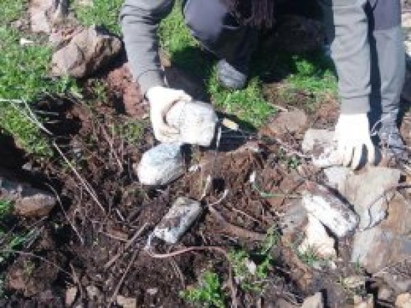 Bitlis'te tespit edilen patlayıcı imha edildi