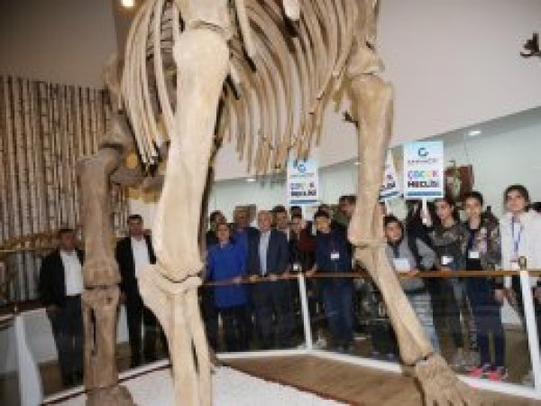 Türkiye'nin ilk zooloji müzesi Gaziantep'te açıldı