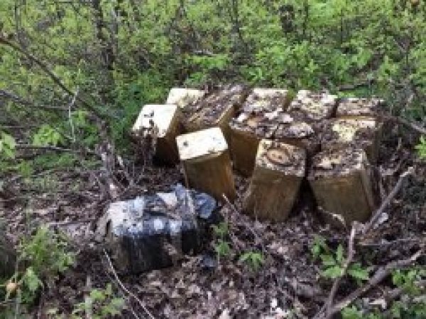 Bitlis’te 560 kilo patlayıcı imha edildi