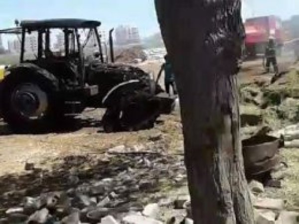 Yüzlerce hayvan yanmaktan son anda kurtarıldı