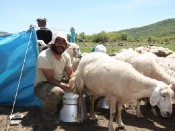 'Devletten yardım bekliyoruz'