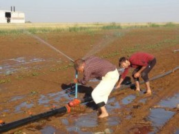 "Yaz sıcağında oruçlu halde tarlada çalışıyoruz"