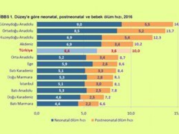 Bebek ölümlerinin en yüksek olduğu bölge Güneydoğu