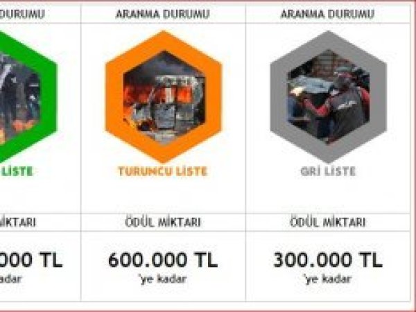Gri listede bulunan bir PKK'li teslim oldu