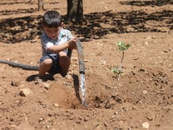'Barajın dibinde suya hasretiz'