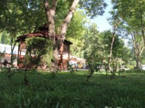 Piknik yaparken kenelere dikkat!