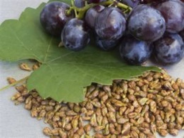 Saçların dökülmesini engelliyor