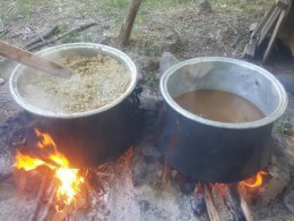 Şifa kaynağı dut pekmezi