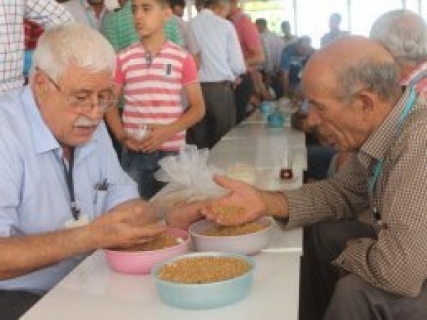 Çiftçilerden TMO'ya buğday fiyatı tepkisi