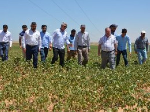 HÜDA PAR'dan mağdur çiftçilere ziyaret