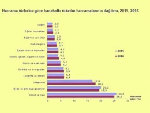 Hanehalkı bütçesindeki fazla harcama konut ve kira oldu