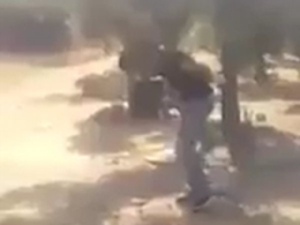 Suriyelileri kimin darp ettiği belli oldu
