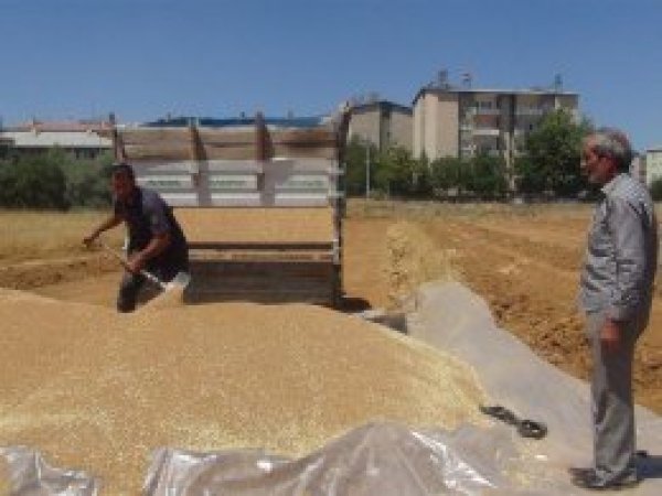 'Emeğinin karşılığını alamayınca çiftçilikten ölüyor'