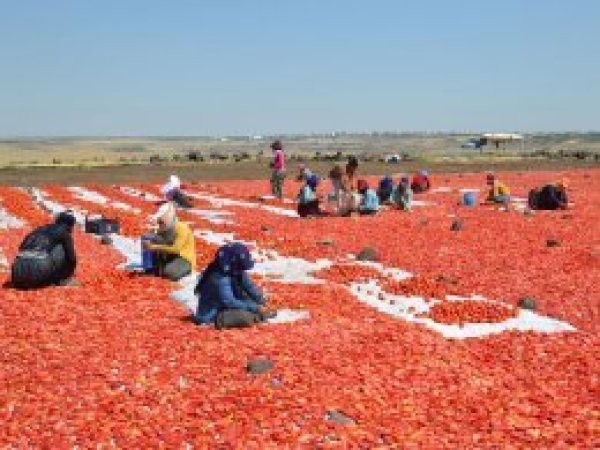 'Kazancımız emeğimizin karşılığı değil'