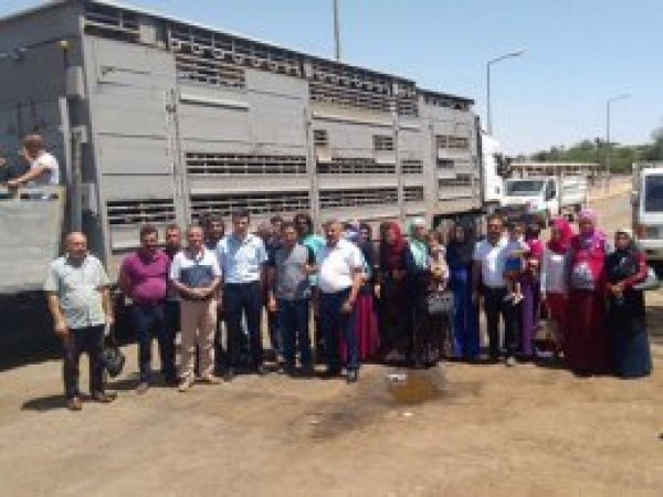 Diyarbakır'da çiftçilere manda hibe edildi