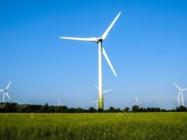 Rüzgâr enerjisi ihalesini Alman şirketi kazandı