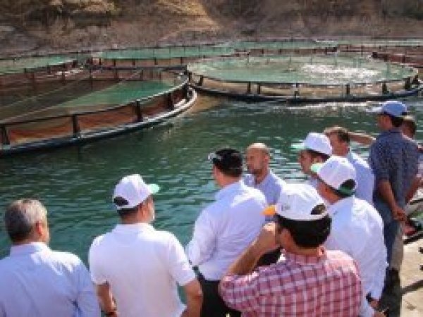 'Balıkçılık Elazığ için çok önemli bir alan'