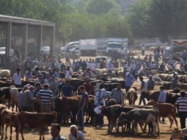 'Diyarbakır Hayvan Borsası kapatılmasın'