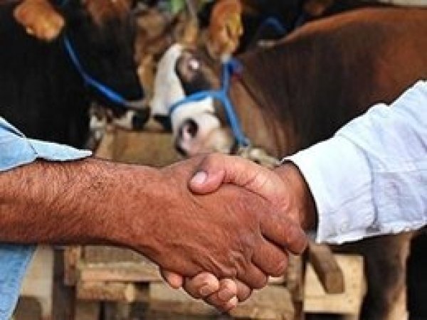 Elazığ’da kurban satış ve kesim yerleri belirlendi