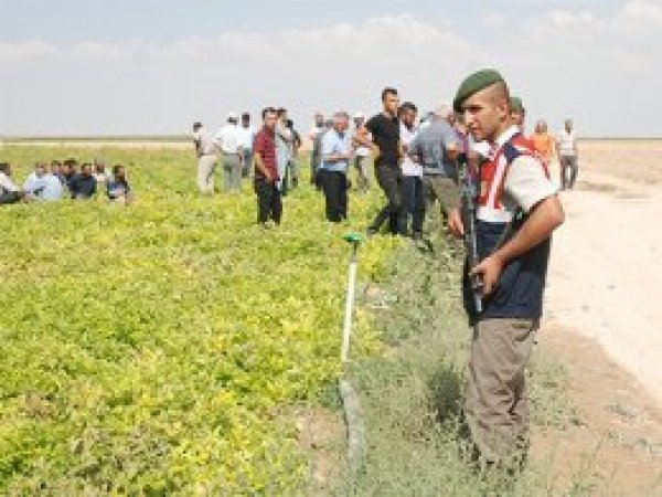 Konya'da tarla kavgası: 3 ölü