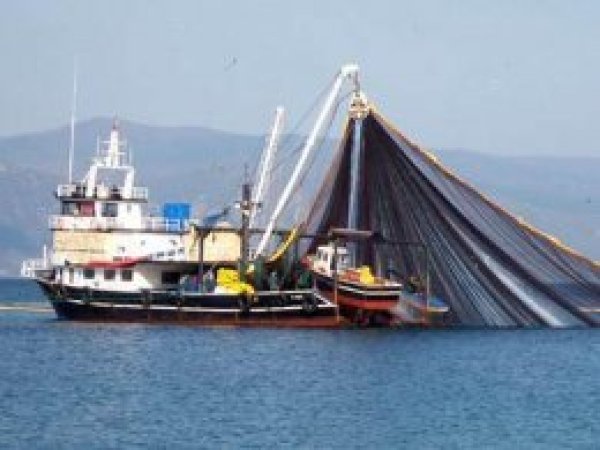 Balıkçılık sezonu 1 Eylül'de başlıyor