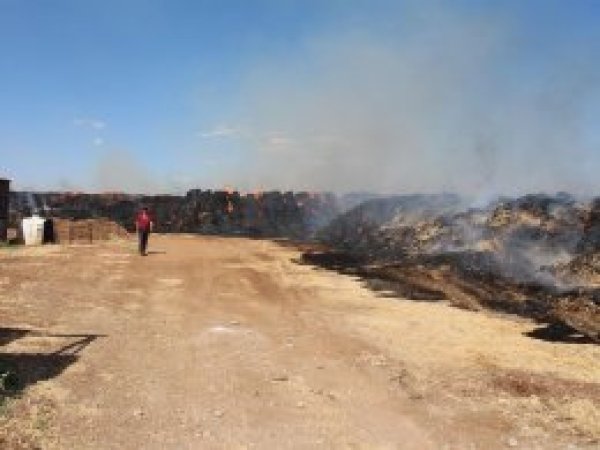 Çıkan yangında 225 ton saman kül oldu