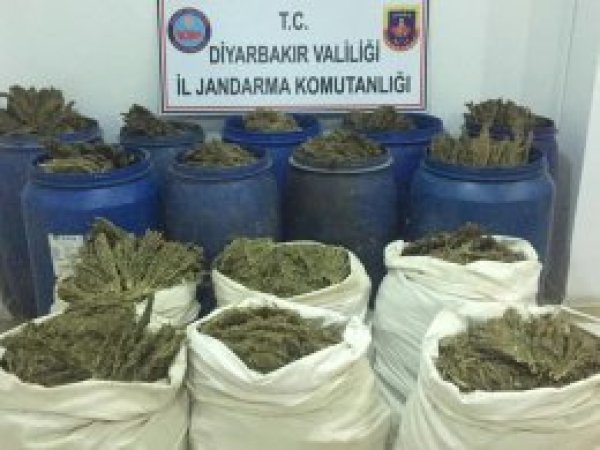 Diyarbakır’da 527 bin 150 kilo esrar ele geçirildi