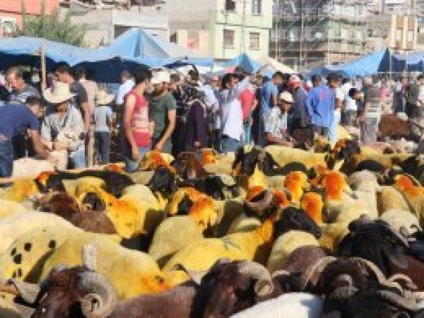 Besiciler satışların artmasından memnun