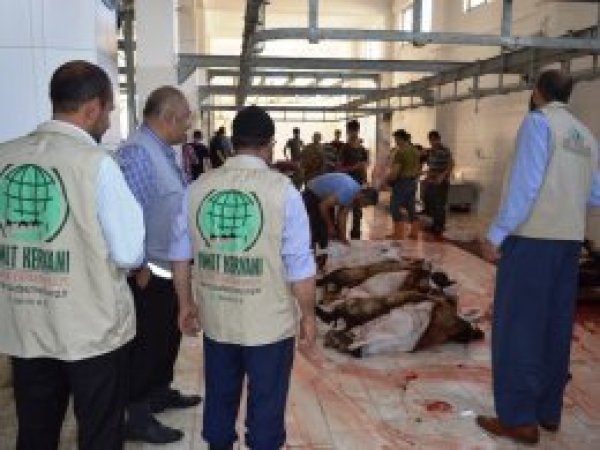 Bitlis'te kurbanlıklar tekbirlerle kesildi
