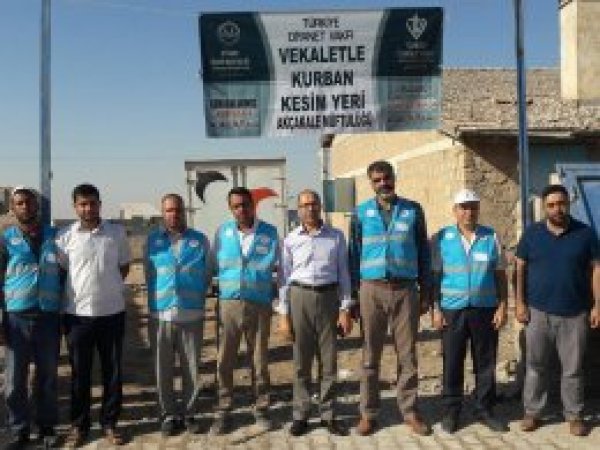 Diyanet'ten Akçakale'de kurban çalışması