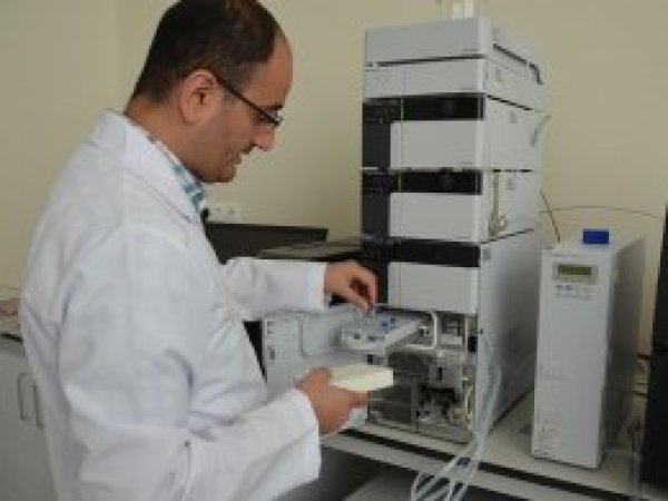 Menengiç yağı ekonomiye kazandırılacak