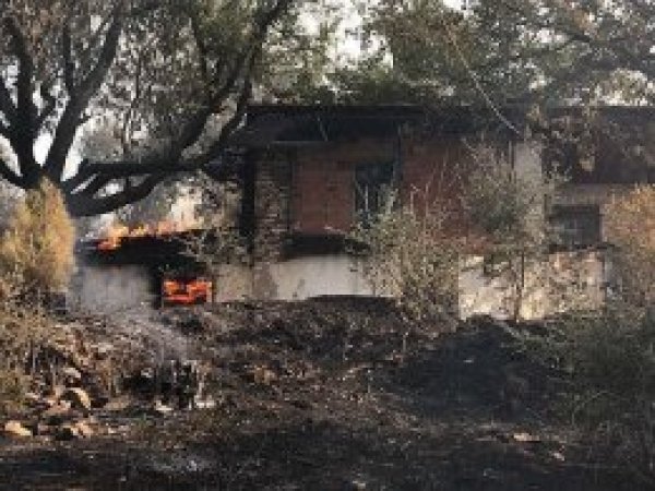 Muğla'daki orman yangınında 30 ev zarar gördü