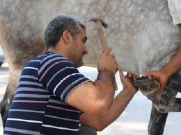 Nalbant mesleği tarihe karışıyor