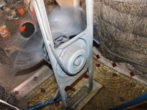 Kendi klimalarını icat ettiler