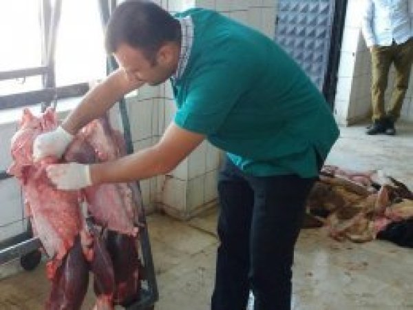 Ordu'da karantiya alınan mahalle 5 yıl aşılanacak