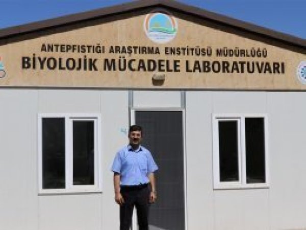 Üretilen faydalı böceklerle biyolojik mücadele yapılıyor