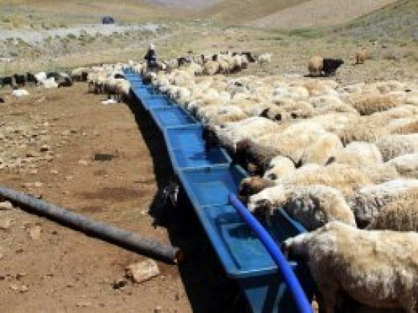 Van'da çiftçilere sıvat desteği