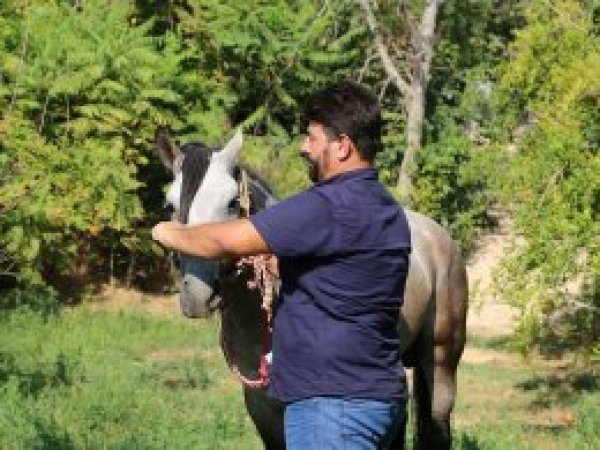 'At besleyen insanın psikolojisi iyi olur'