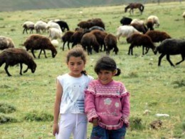 Türkiye kırsal nüfus kaybında ilk 10'da