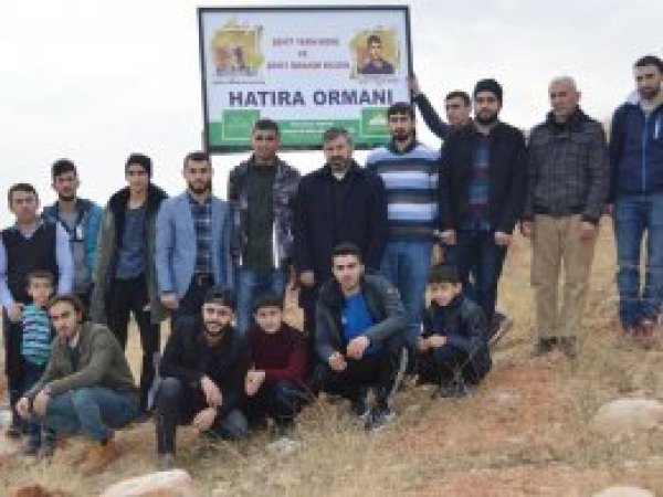 Şehidlerin adı hatıra ormanında yaşayacak
