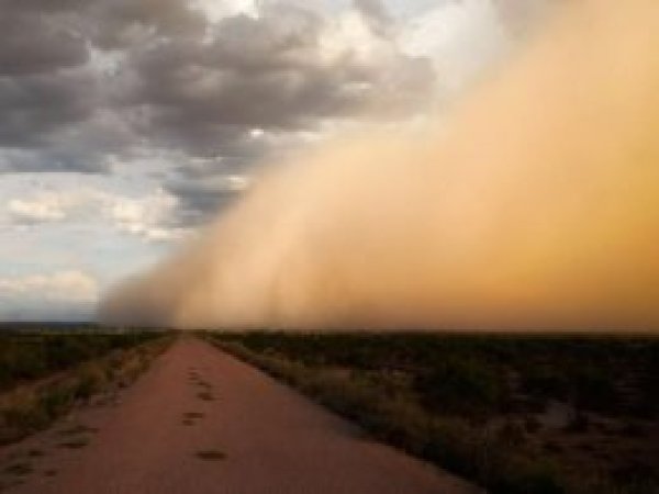 Meteorolojiden 'toz taşınımı sürecek' uyarısı
