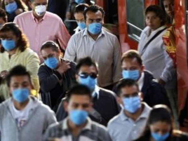 Hindistan'da domuz gribi can almaya devam ediyor